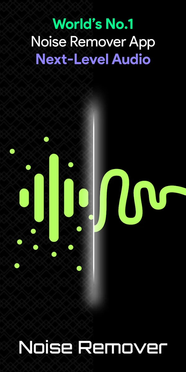 Audio/Video Noise Reducer — app overview